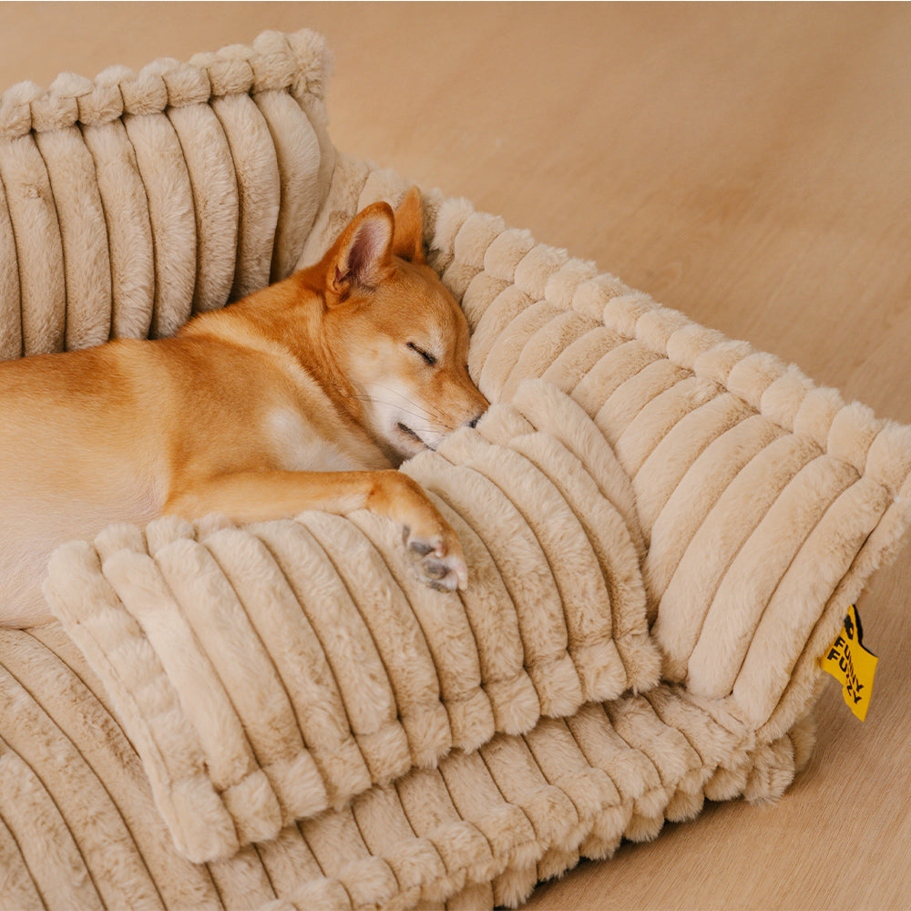 Orthopädisches Hundesofa mit Kissen - Snoozy Dream
