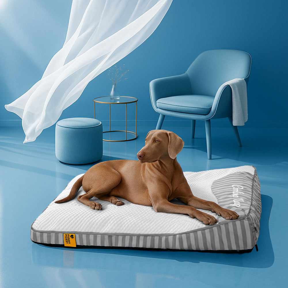 Extra großes kühlendes waschbares rechteckiges orthopädisches Hundebett - haustierfreundliches Schlafzimmer