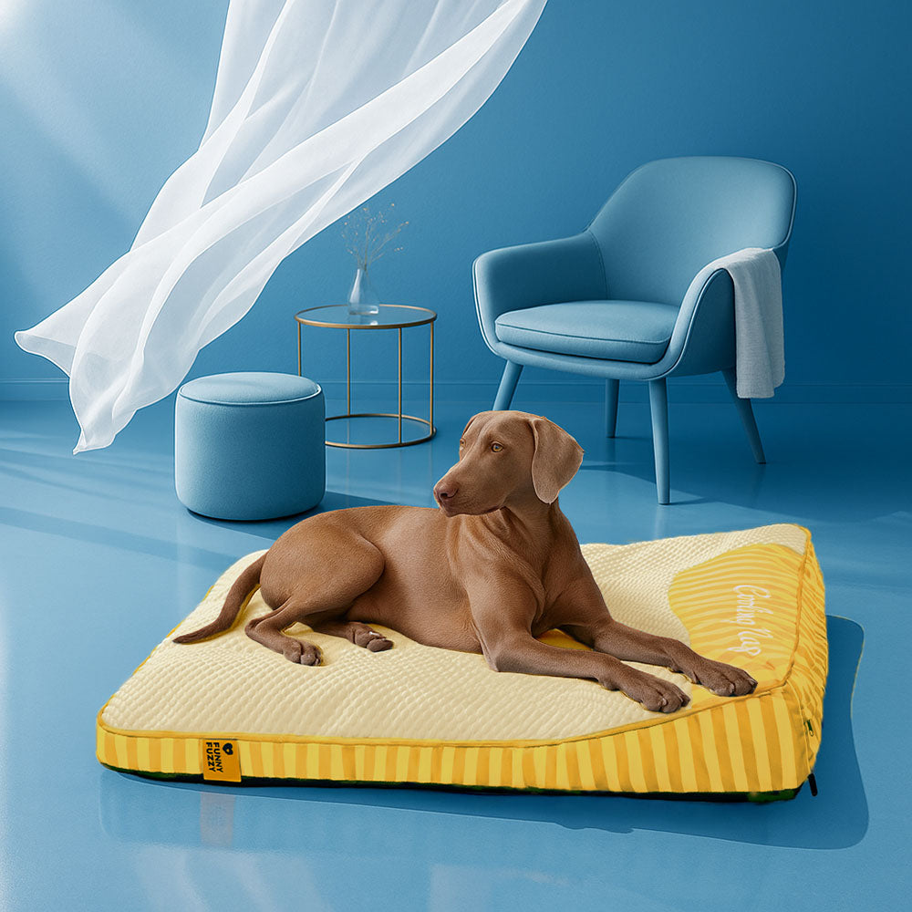 Extra großes kühlendes waschbares rechteckiges orthopädisches Hundebett - Home Office