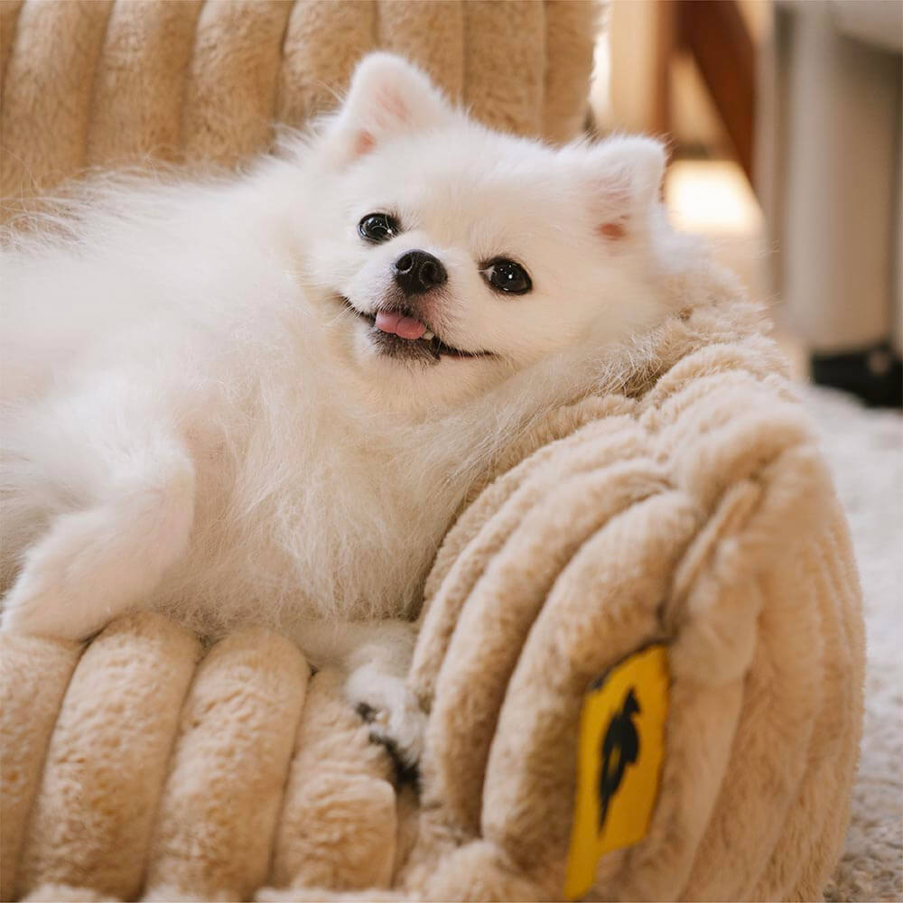 Orthopädisches Hundesofa mit Kissen - Snoozy Dream