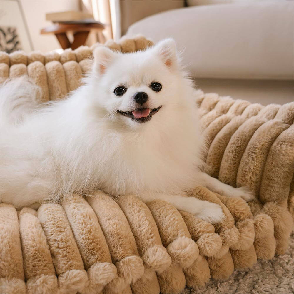 Orthopädisches Hundesofa mit Kissen - Snoozy Dream