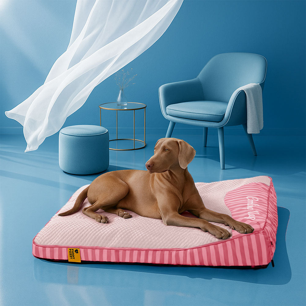 Extra großes kühlendes waschbares rechteckiges orthopädisches Hundebett - haustierfreundliches Schlafzimmer