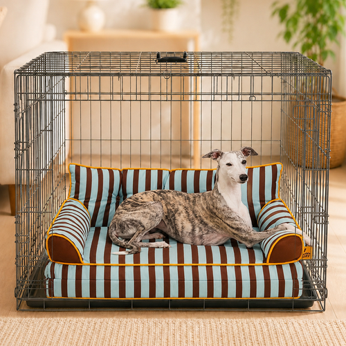 Streifen Wasserdichter Faltbarer großer Hundesofa-Bett für die Kiste