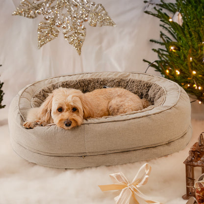 Donut Orthopädisches Hundebett - Home Office