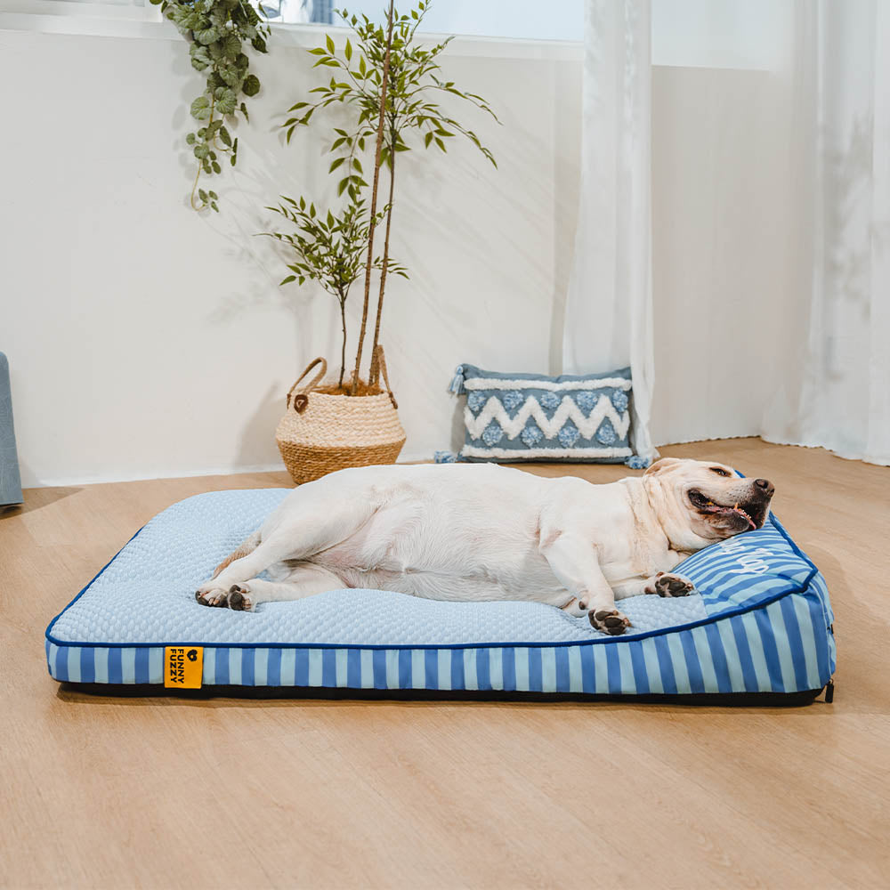 Extra großes kühlendes waschbares rechteckiges orthopädisches Hundebett - Home Office