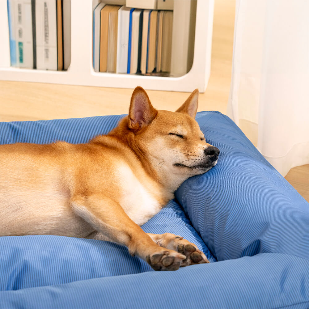 Vollständig orthopädische Umgebungsunterstützung wasserdichtes großes Hundebett - Haustierfreundliches Schlafzimmer