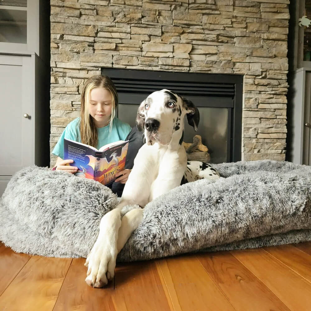 Donut Orthopädisches Hundebett - Home Office